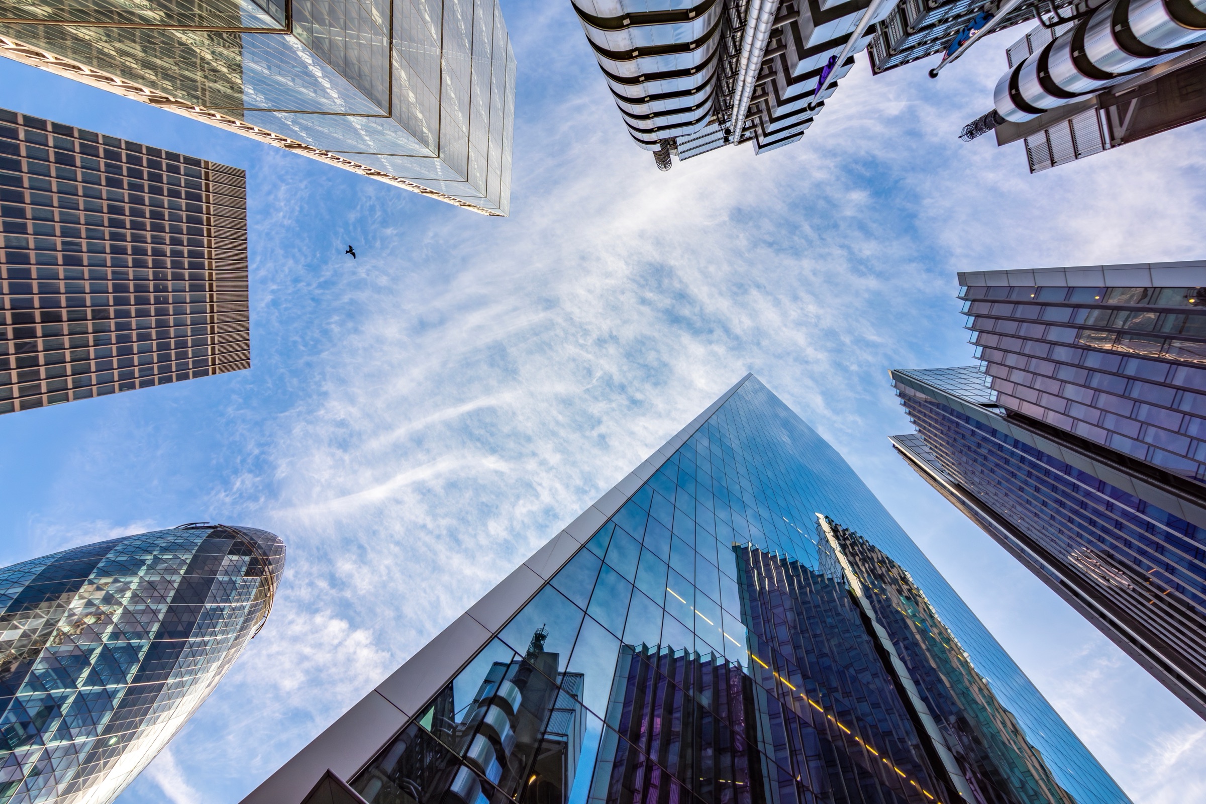 Joint Venture & Investments